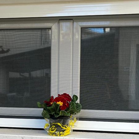 Bouganville Casa Vacanza Ambiente Climatizzato Con Wi Fi Pineto Exteriör bild
