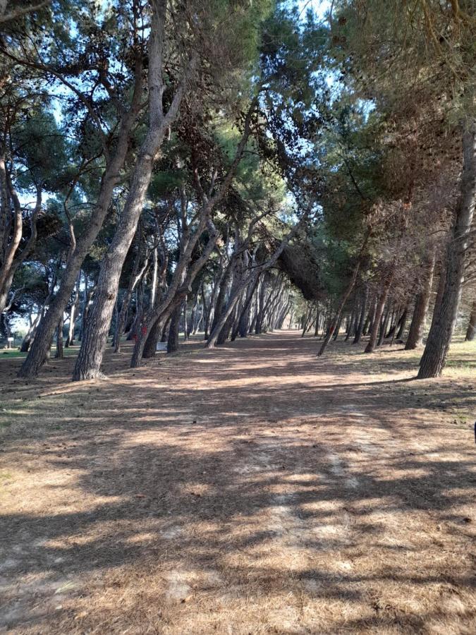 Bouganville Casa Vacanza Ambiente Climatizzato Con Wi Fi Pineto Exteriör bild