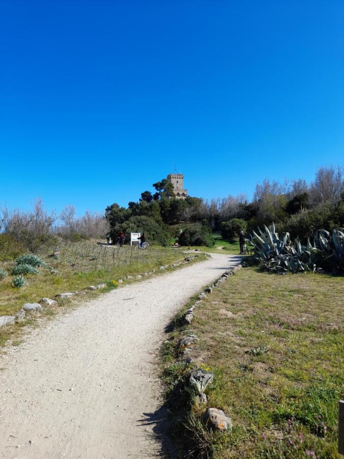 Bouganville Casa Vacanza Ambiente Climatizzato Con Wi Fi Pineto Exteriör bild