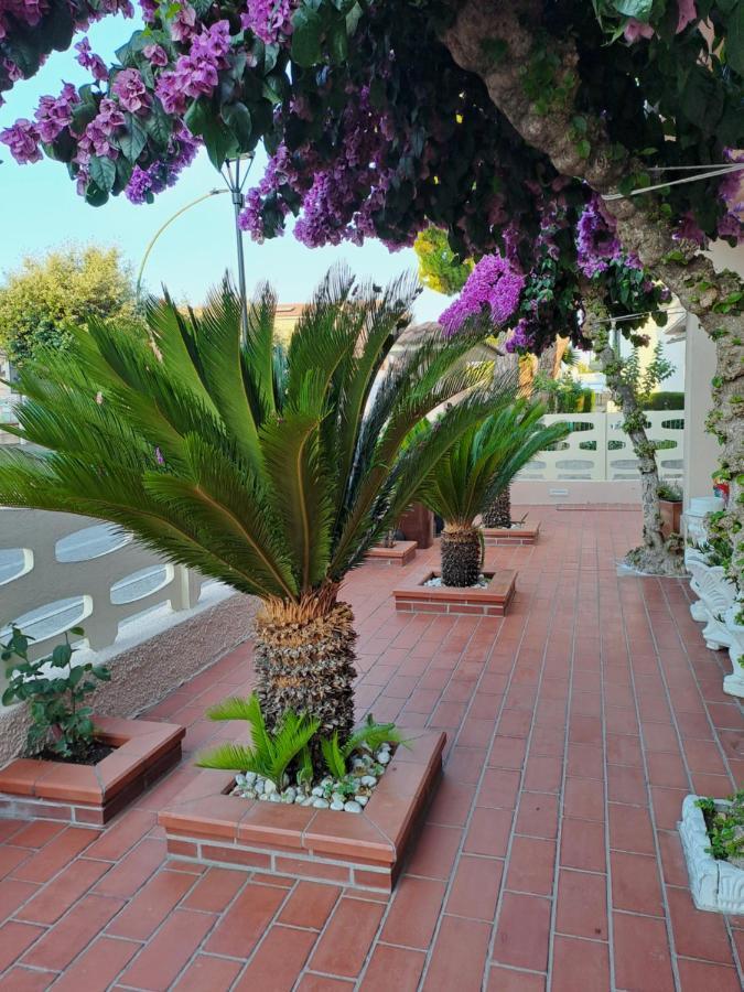 Bouganville Casa Vacanza Ambiente Climatizzato Con Wi Fi Pineto Exteriör bild