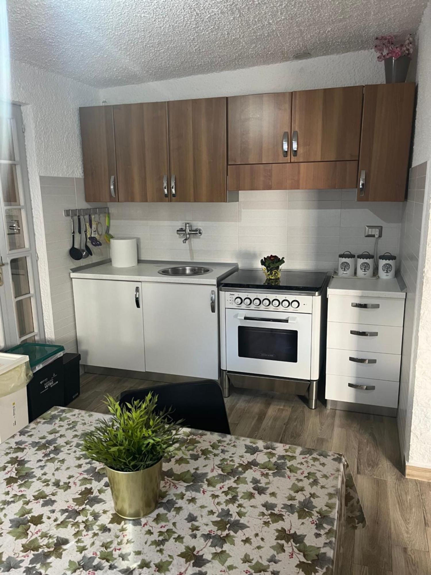 Bouganville Casa Vacanza Ambiente Climatizzato Con Wi Fi Pineto Exteriör bild